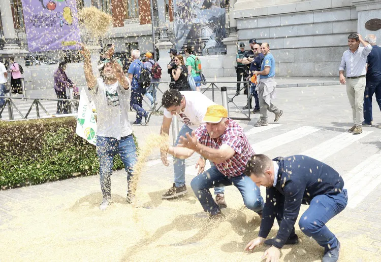 PROTESTA CONTRA LA IMPORTACION DE CEREAL MARROQUI
