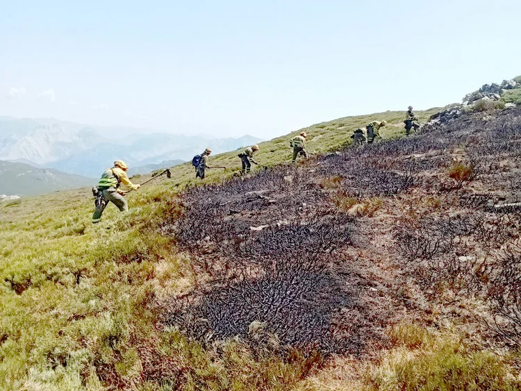 INCENDIOS PROVOCADOS POR EL IMPACTO DE RAYOS DE TORMENTAS SECAS