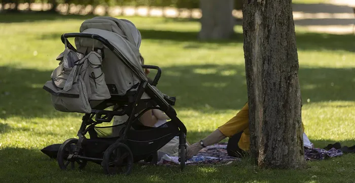 FAMILIA EN EL PARQUE