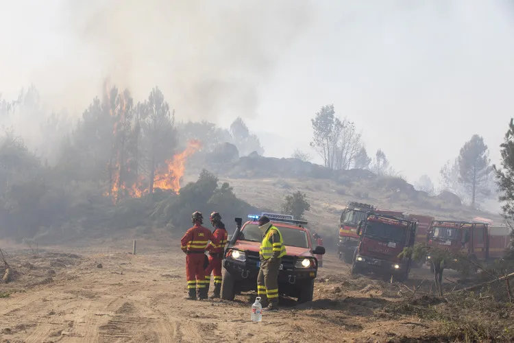 INCENDIO FORESTAL EN MOMBELTRAN DE NIVEL 2