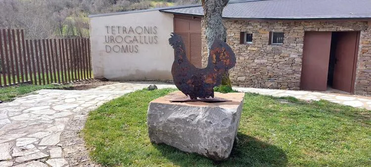 EL VOLADERO DE UROGALLOS EN CABOALLES DE ARRIBA