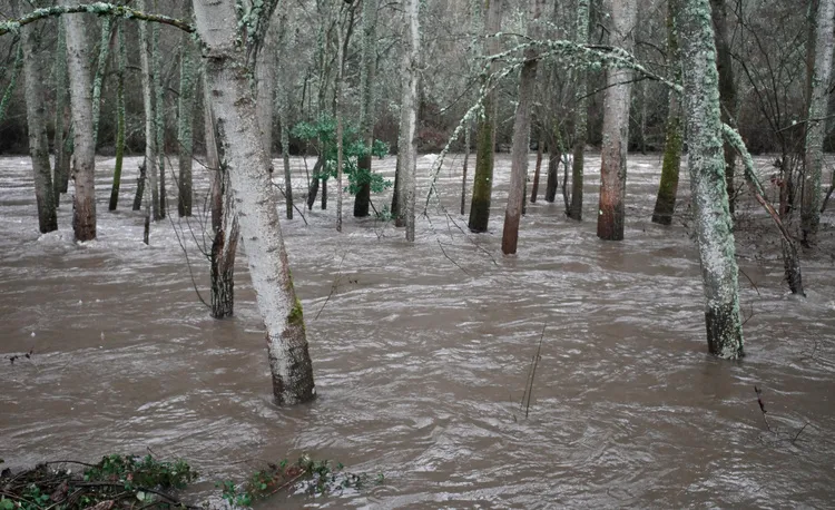 DESBORDAMIENTOS EN EL BIERZO