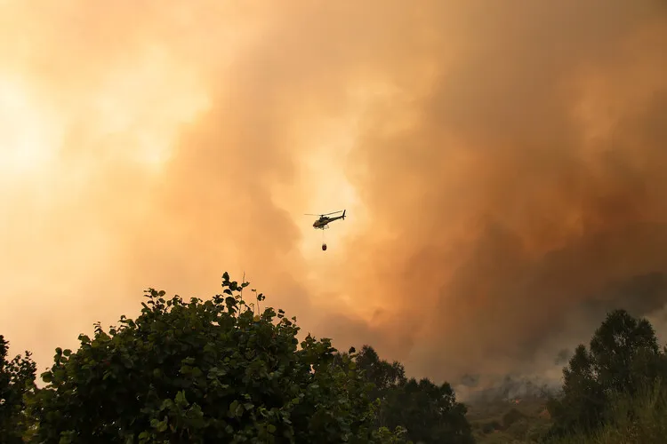 INCENDIO