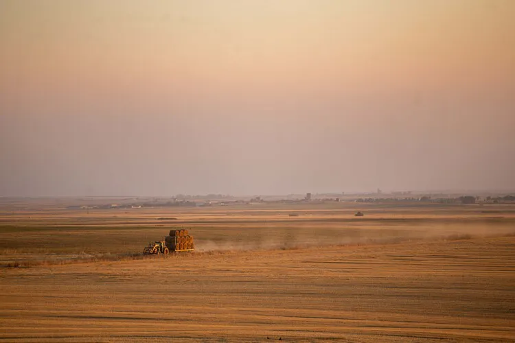 CULTIVOS DE CEREAL EN TIERRA DE CAMPOS