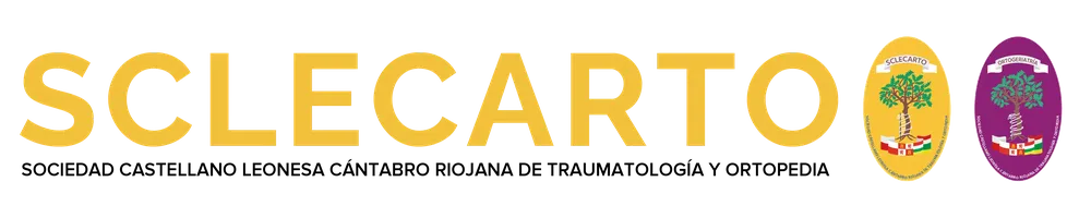 1-WEB-SCLECARTO-2