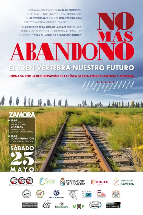 Cartel Manifestacion 25M Zamora