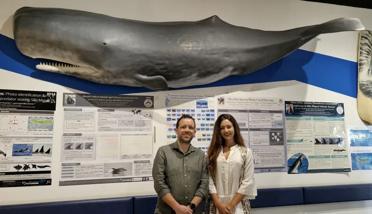 ULE Y FUTURISMO AZORES