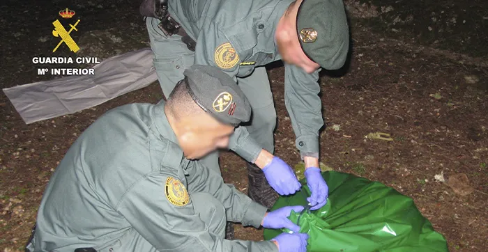 AGENTES RECOGEN EL MASTIN MUERTO