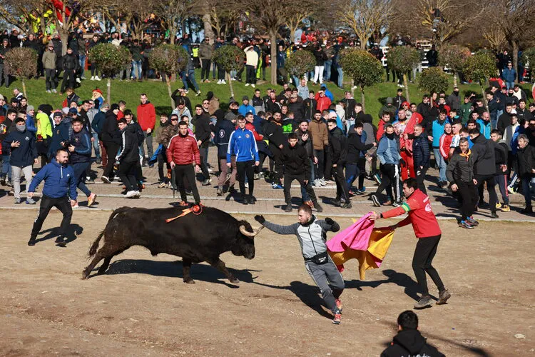 CARNAVAL DEL TORO EN CIUDAD RODRIGO