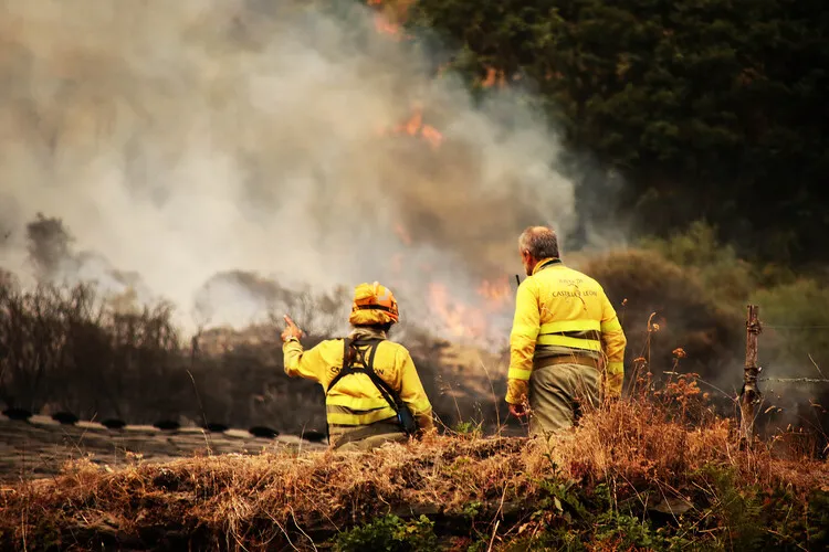 INCENDIOS FORESTALES